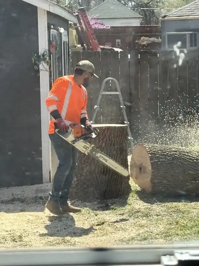 JD Tree Service crew member cutting a trunk